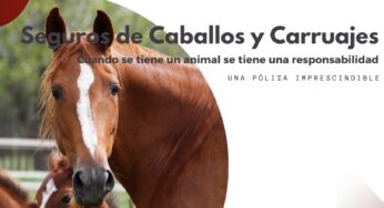 Seguros para Carruajes de Caballos: Protección Integral con Multicía Correduría de Seguros