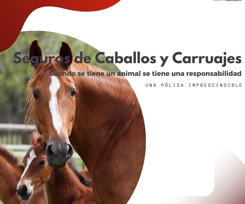 Seguros para Carruajes de Caballos: Protección Integral con Multicía Correduría de Seguros