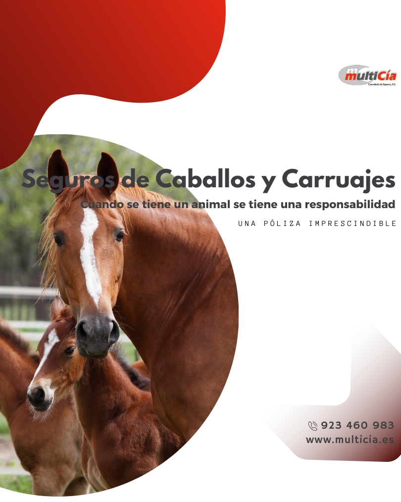 Seguro para caballos y carruajes personalizado con Multicía Correduría de Seguros, protección integral y asesoramiento experto.